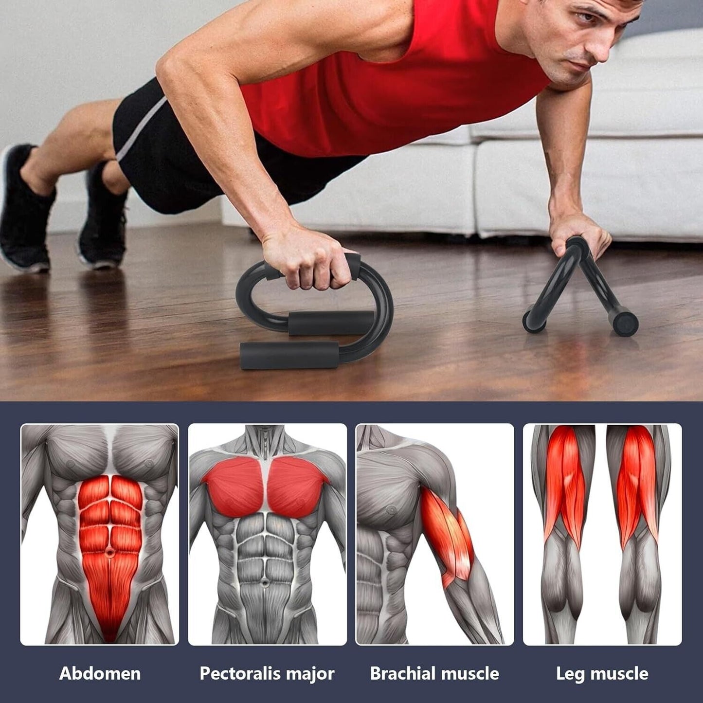 Body Sculptured Push Up Bars Press Handles